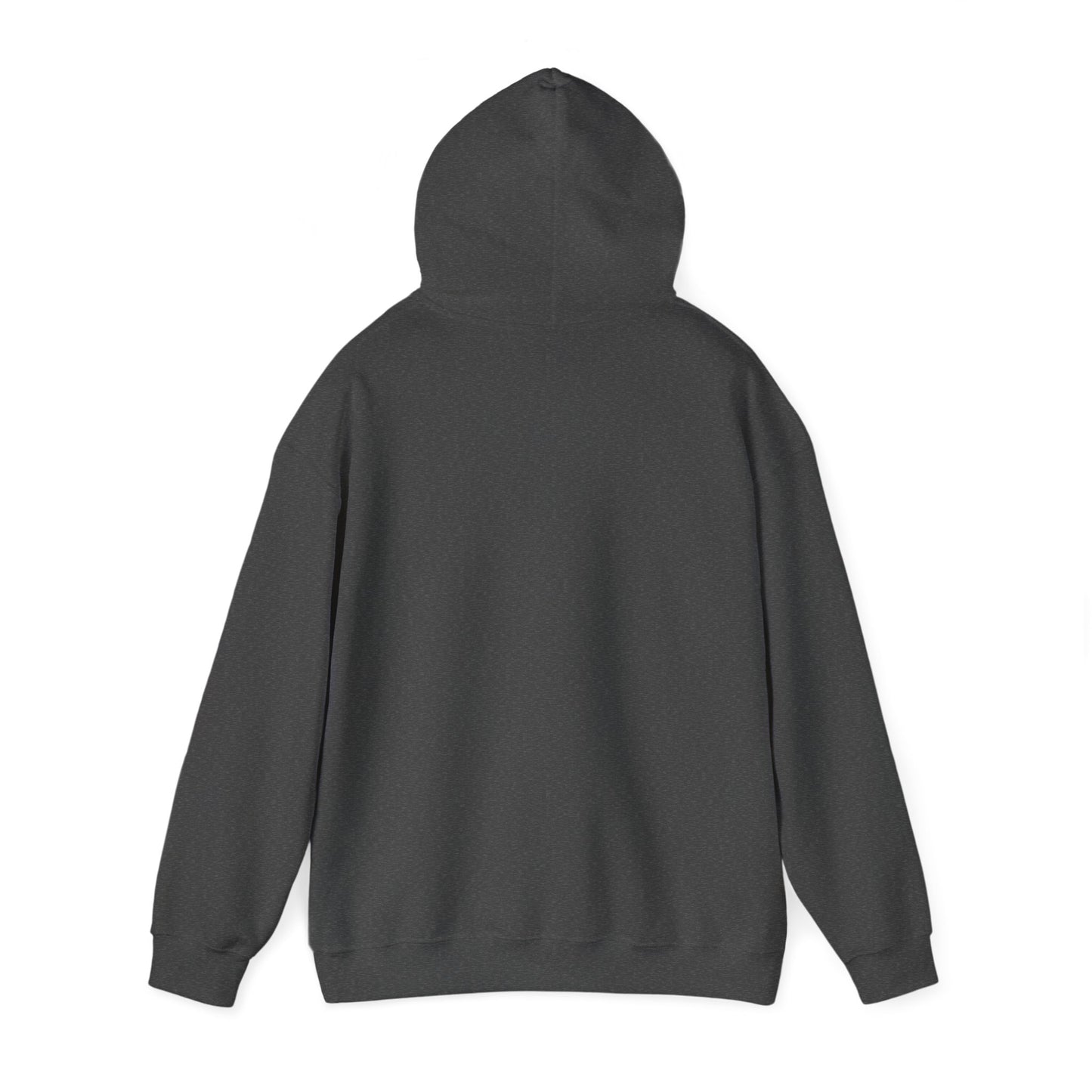 CENTRAL STREET Unisex Heavy Blend™ Hooded Sweatshirt